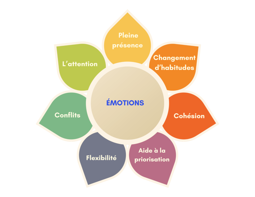 ACMES-STRESS-EMOTIONS