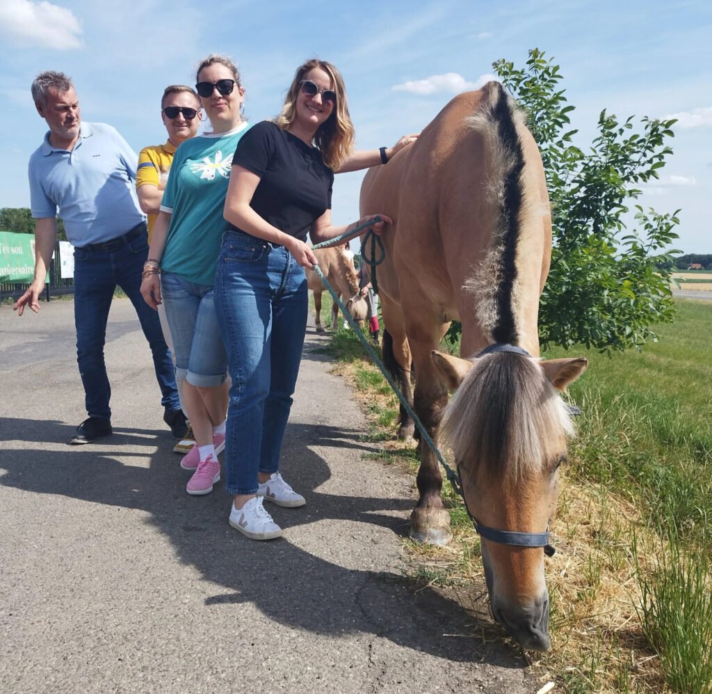 acmes teambuilding