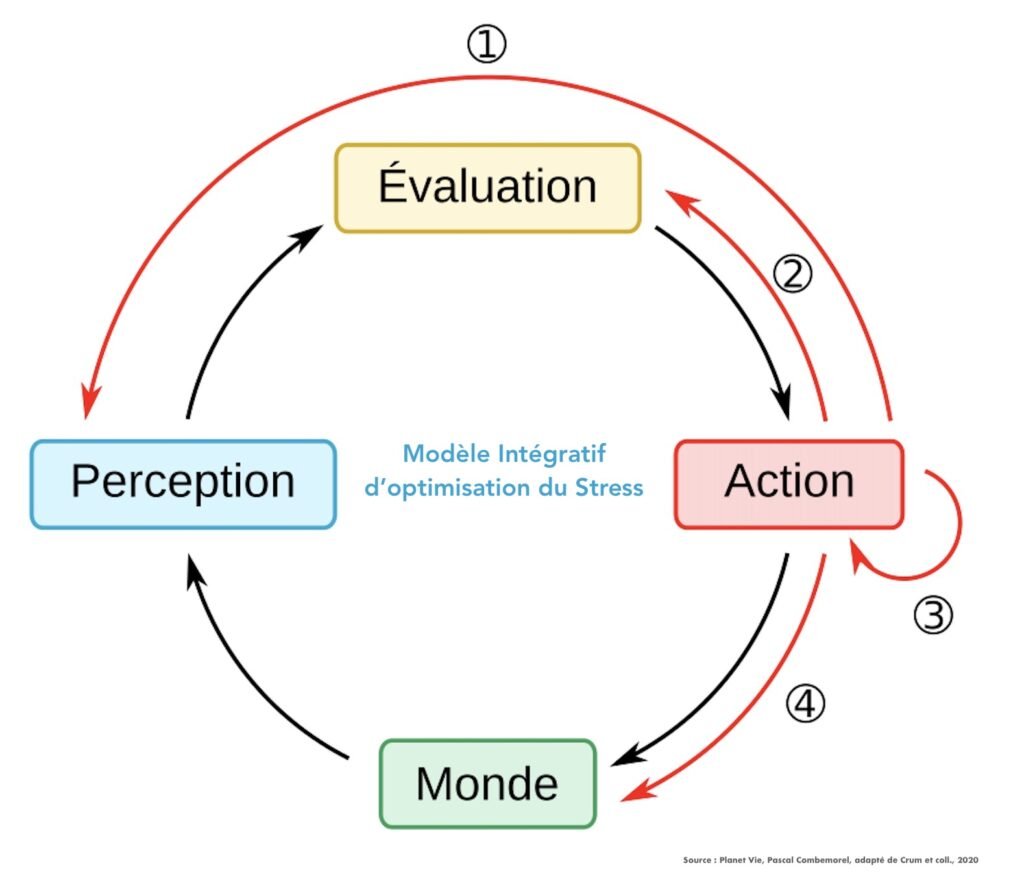 acmes stress emotions