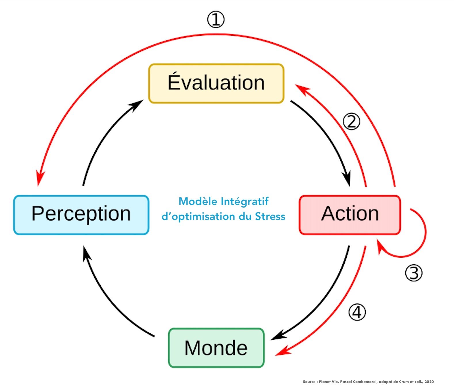 acmes stress emotions